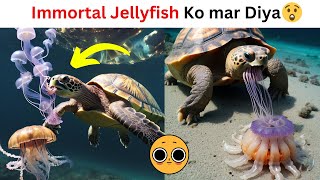 Reality of Immortal Jellyfish [upl. by Narut966]