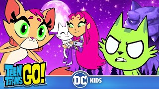 Teen Titans Go En Latino  Momentos 😽 gatunos 😻  DC Kids [upl. by Gaige]