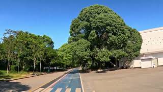 PARQUE IBIRAPUERA VAZIO NO NATAL  SÃO PAULOSP  251223 [upl. by Nonnarb]