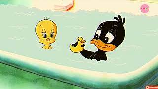 Baby Looney Tunes epi 4 part 1 in HindiUrdu  Lollipop Kids Corner  Stories for kids [upl. by Lanor]