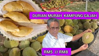 LUBUK DURIAN MURAH KAMPUNG GAJAH  PASIR SALAK  SEBERANG PERAK  PERAK [upl. by Nivrehs805]