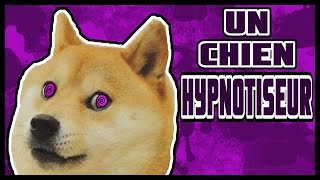 HYPNOSE  BART LE MEILLEUR CHIEN HYPNOTISEUR [upl. by Janik]