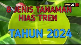 8 JENIS TANAMAN HIAS TREN 2024 MANA YANG BELUM ANDA MILIKI [upl. by Pomcroy]