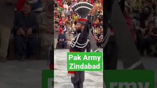 pakistan pakistani pakistanzindaabaad shorts shortsfeed shortvideo 14august independenceday [upl. by Eessej]