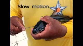 How to bridle large baits IGFA School of Sportfishing [upl. by Anonyw]