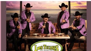 El Primo De La Costa – Los Tucanes de Tijuana Lyric Oficial [upl. by Adrell881]