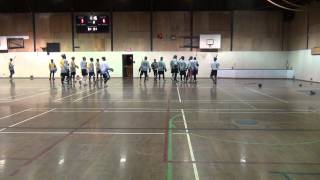 Ball Hockey Fight  Herman Bains Jr vs Stan McClelan Raw Video [upl. by Lyj]