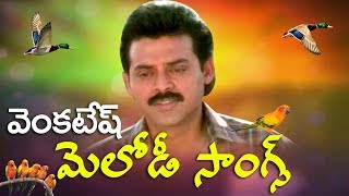 Venkatesh Melody Songs  Heart Touching And Emotional Songs  Volga Videos  2017 [upl. by Yuh]