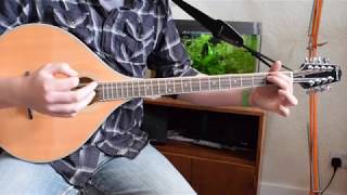 Beginner Irish Bouzouki Lesson  Chords in the key of D [upl. by Sly607]