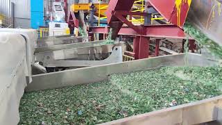 SUIBO Glass Sorter at Customer Site for Green Bottle Sorting  Efficient and Precise Performance [upl. by Llehcar]