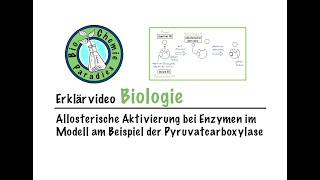 Erklärvideo Biologie – Allosterische Aktivierung von Enzymen am Beispiel der Pyruvatcarboxylase [upl. by Ynnaej]