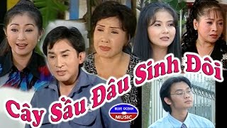 Cai Luong Cay Sau Dau Sinh Doi [upl. by Znerol]