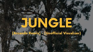 Jungle Arcando Remix  Unofficial Visualizer PHOTOSENSITIVITY WARNING [upl. by Roxy]