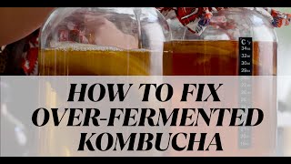 Can You OverFerment Kombucha [upl. by Norod228]