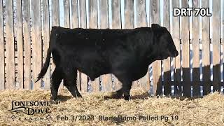 Lonesome Dove Bull Lot DRT 70L sells Friday March 1 2024 [upl. by Sanger864]