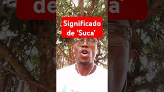 SIGNIFICADO DE SUCA danielchapo venanciomondlane frelimo danielchapo venanciomondlane [upl. by Atnom]