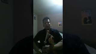 Braveheart Soundtrack  The Legend Spreads Played On Widdicombe Uilleann Pipes [upl. by Asiuol941]