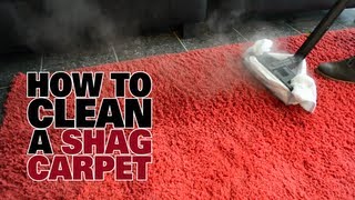 How to Steam Clean a Shag Carpet  Dupray [upl. by Yedoc798]