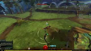 GW2 WvW Tutorials  01 Overview [upl. by Jaffe47]