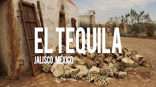 Tequila Jalisco México  Elaboración y procesos [upl. by Irakuy]