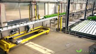 Viscon Hydroponics  Fully Automated Hydroponics System [upl. by Akiwak]