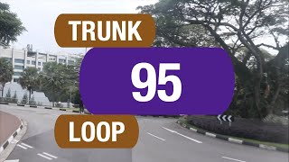 SBS Transit Trunk 95  Bus Service Route Visual [upl. by Gilliam]