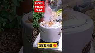 Cooker Whistle Sound cooker cookercooker cookerwhistlesound foodxyz [upl. by Lippold]