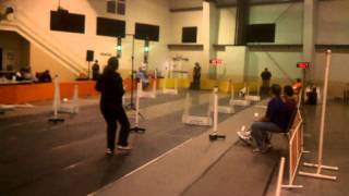 George the Whippets Flyball Onyx run [upl. by Aisercal]