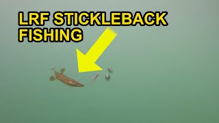 15 Spined Stickleback Attacks Micro Lure LRF [upl. by Meredeth]