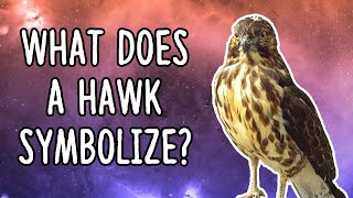 What Does A Hawk Symbolize  Hawk Symbolism Meaning [upl. by Gnilrets801]