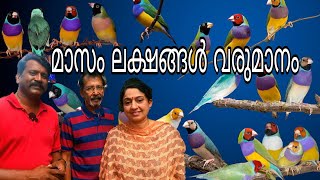 മാസം ഒരു ലക്ഷം വരുമാനം കുഞ്ഞൻ കിളികൾ Finches Breeding Malayalam [upl. by Anaili]