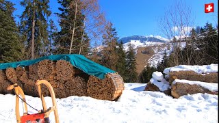 Sledding in Switzerland🇨🇭Wiriehorn toboggan run 5 km  WiriehornSchlittelweg [upl. by Cida]