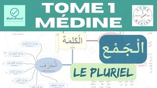 1217 Le pluriel Tome 1 de Médine  Ce que tu dois retenir apprendre arabe [upl. by Andaira]