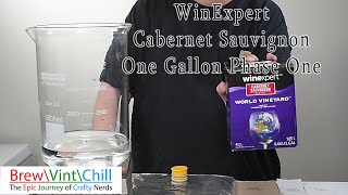 Cabernet Sauvignon WinExpert One Gallon Phase One [upl. by Burget]