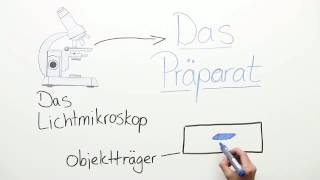 DAS PRÄPARAT  HERSTELLUNG VON PRÄPARATEN FÜR DAS MIKROSKOP  Biologie  Biologie der Zellen [upl. by Aihsirt]