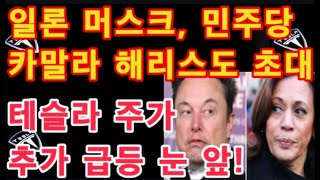 TSLA 주가 추가 급등 눈 앞  일론 머스크 민주당 카말라 해리스도 초대해 화제  테슬라 투자  Tesla 주가 [upl. by Noirrad923]