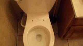 American Standard Flowise Cadet 3 toilet problem  compared to Champion 4 toilet [upl. by Eednarb]