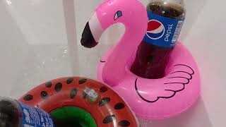 Pepsi cola swimming 🥽 in a flamingo 🦩🌸 [upl. by Amble157]