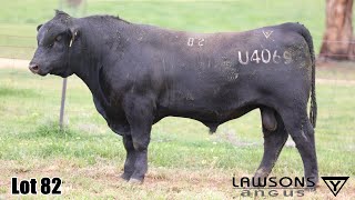 Lot 82 Lawsons Quinella VLY23U4069 [upl. by Sivat360]