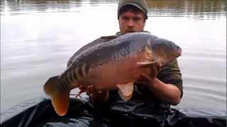 Frontfish stocking Sundridge Lake Kent [upl. by Eirolav]