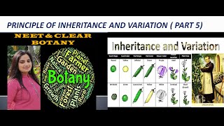 PRINCIPLE OF INHERITANCE AND VARIATION POLYGENIC INHERITANCE  PART 5 [upl. by Desberg137]