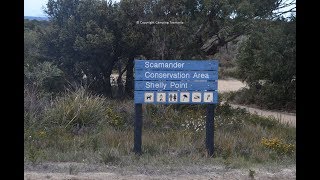 Camping Shelly Point Scamander Free Camping East Coast Tasmania [upl. by Tatman462]