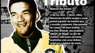 Tributo a Mané Garrincha  Balada Nº 7  Moacyr Franco [upl. by Darrow437]