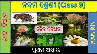 ଜୈବ ବିବିଧତା  class 9 Life Science chapter 1 question answer in odia  Biodiversity [upl. by Elwin887]