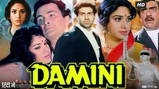 Damini Full Movie Review amp Story Explained  Sunny Deol  Rishi Kapoor  Meenakshi Seshadri  Amrish [upl. by Allertse225]