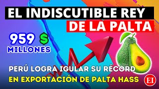 ¡Increíble Perú 🇵🇪 Logra Exportar Una Cifra Récord de Palta Hass En 2023 Pese a todo Pronóstico [upl. by Inafetse125]