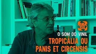 Tropicália ou Panis Et Circencis l O Som do Vinil Parte 1 [upl. by Brothers]