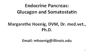 Endocrine Pancreas Glucagon and Somatostatin [upl. by Jody]