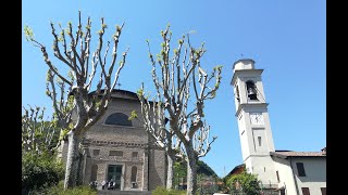 Le campane di Monte Olimpino Como [upl. by Brandea610]