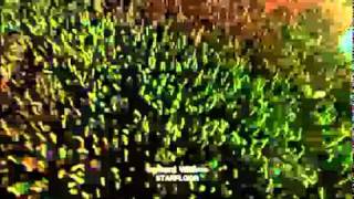 Bande Annonce STARFLOOR 2011 W9 [upl. by Eltrym]